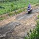 Salah satu kondisi jalan di utara Pasar Kapedi, Kecamatan Bluto, Kabupaten Sumenep.