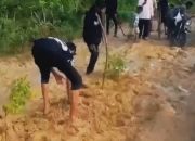 Kesal, Warga Kangean Tanam Pohon di Jalan Rusak dan Sentil Pejabat: Gak Liat Kau Matanya?