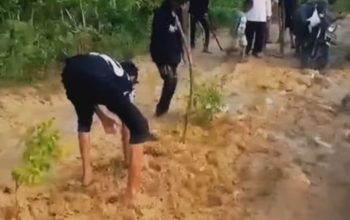 Kesal, Warga Kangean Tanam Pohon di Jalan Rusak dan Sentil Pejabat: Gak Liat Kau Matanya?
