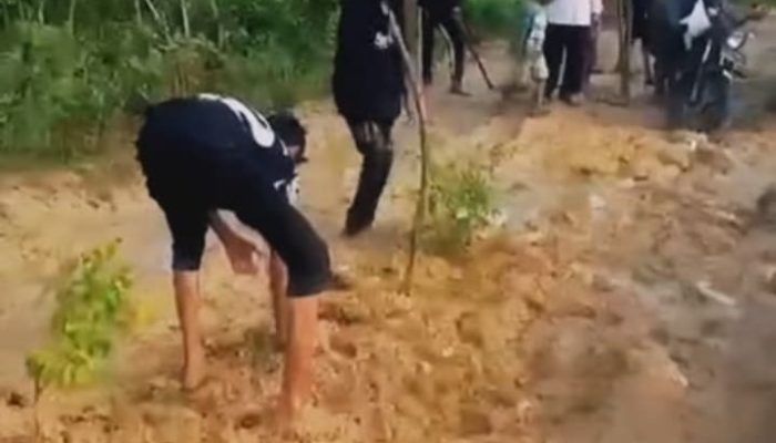 Kesal, Warga Kangean Tanam Pohon di Jalan Rusak dan Sentil Pejabat: Gak Liat Kau Matanya?