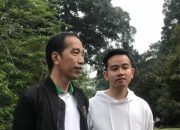Jokowi dan Gibran. [Foto: antara]
