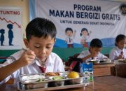 Menata Ulang MBG: Refokusing Penurunan Stunting