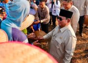 Presiden Prabowo Subianto bersalaman dengan para petani dalam acara panen raya serentak di seluruh Indonesia di Malang, Jawa Timur, Jumat (17/7/2026). [Foto: istimewa]