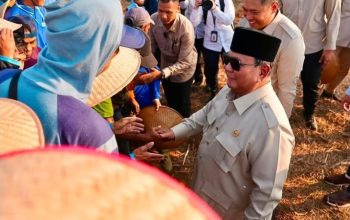 Presiden Prabowo Subianto bersalaman dengan para petani dalam acara panen raya serentak di seluruh Indonesia di Malang, Jawa Timur, Jumat (17/7/2026). [Foto: istimewa]