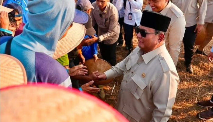 Prabowo: Yang Bilang Beras Mahal, Suruh Tanam Padi Sendiri