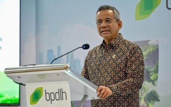 Menkeu Suahasil Nazara.