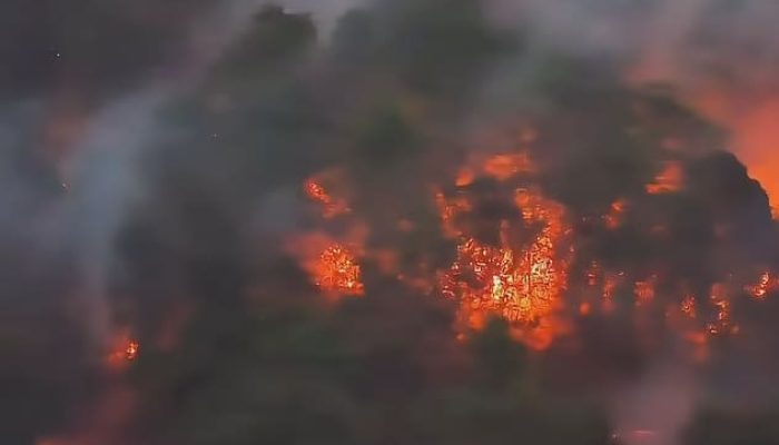 Seruan Moral Gereja Katholik Indonesia Soal Karhutla